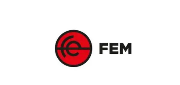 FEM logo